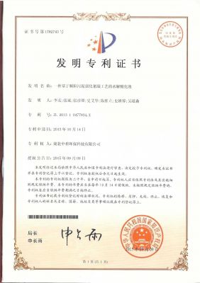 一种基于颗粒污泥强化絮凝工艺的水解酸化池