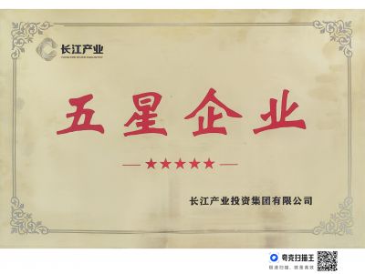 五星企业